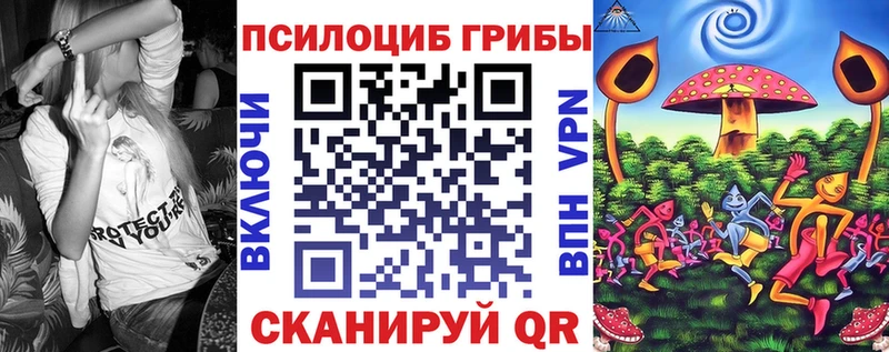Псилоцибиновые грибы Cubensis  Алатырь 