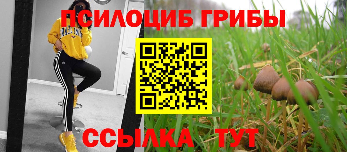 Галлюциногенные грибы GOLDEN TEACHER Алатырь