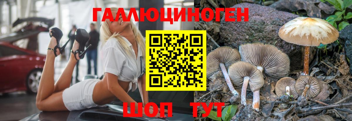 Псилоцибиновые грибы Psilocybe  Вход с VPN  Алатырь 