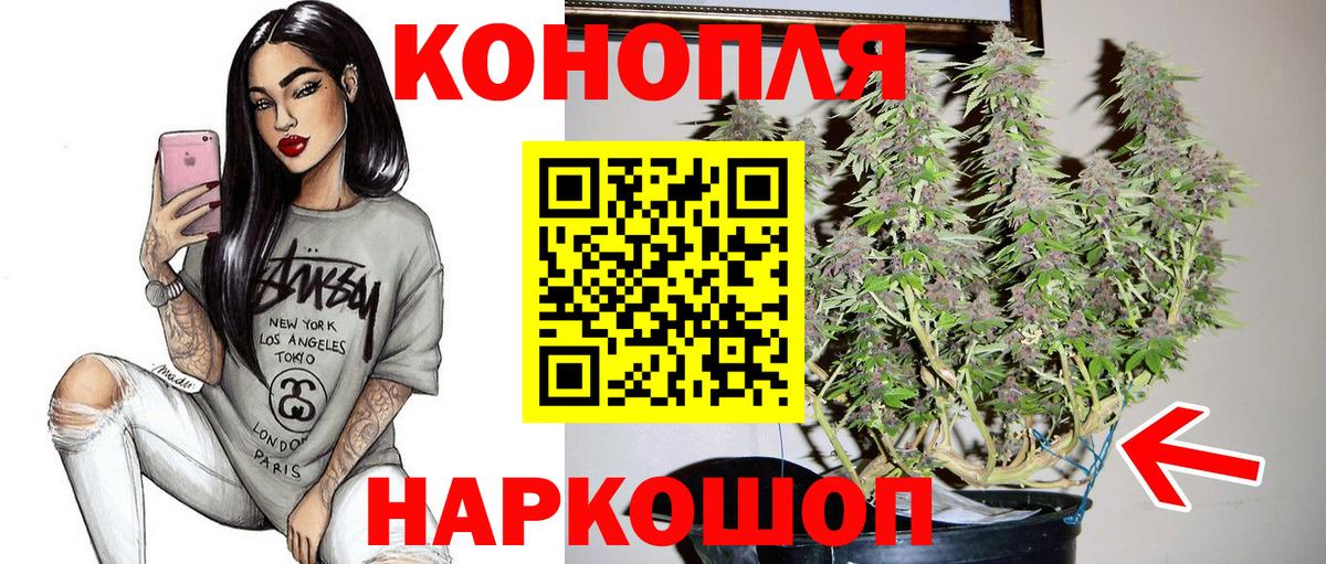 МАРИХУАНА SATIVA & INDICA  Шишки марихуана план  Вход с VPN  Конопля семена  Алатырь  Канабис гибрид 